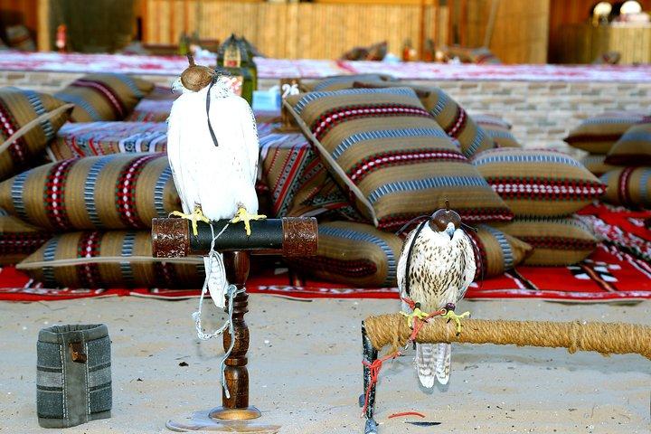 Safari dans le désert d'Abu Dhabi et dîner barbecue