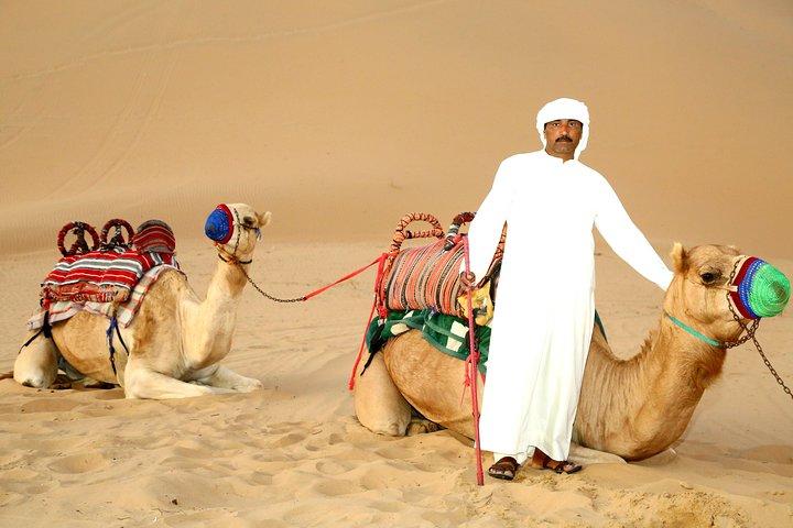 Safari dans le désert d'Abu Dhabi et dîner barbecue