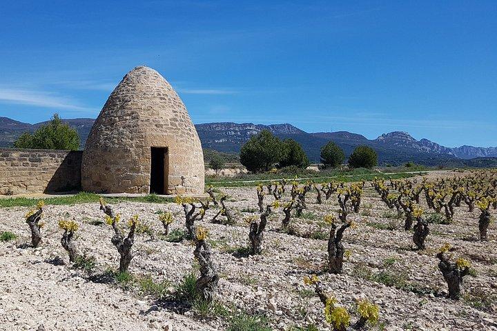 Rioja Full Experience Tour from San Sebastian with Lunch