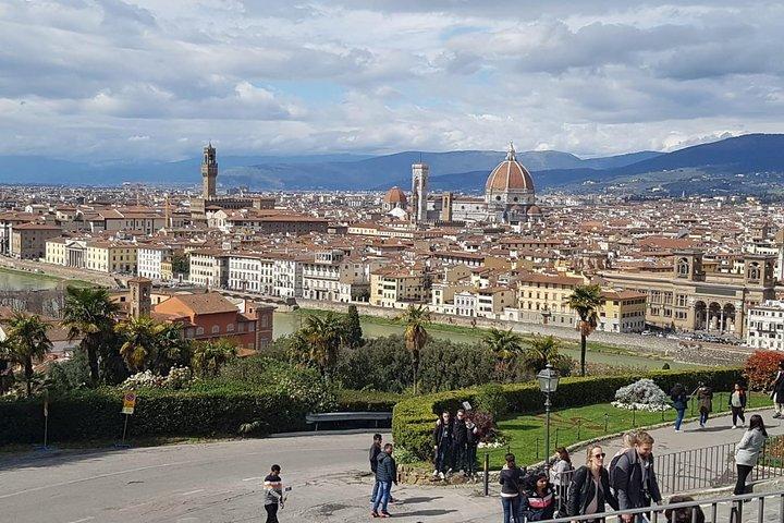 Florens och Pisa Luxury Private Tour : Mercedes Comfort från Rom