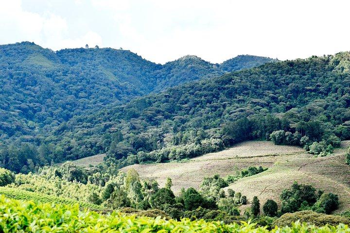 Burundi Day Trip to Karera Waterfalls- Source of Nile-Gitega National Museum