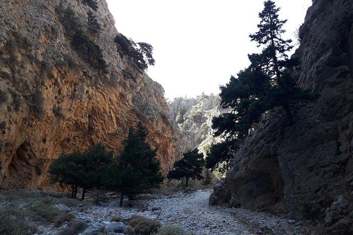 Vandretur Imbros Gorge and Beach Private Tour (pris pr. gruppe på 6)