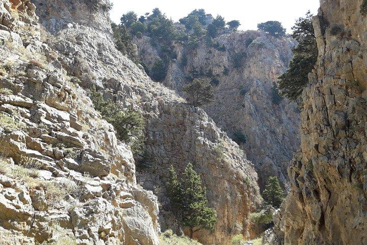 Vandretur Imbros Gorge and Beach Private Tour (pris pr. gruppe på 6)
