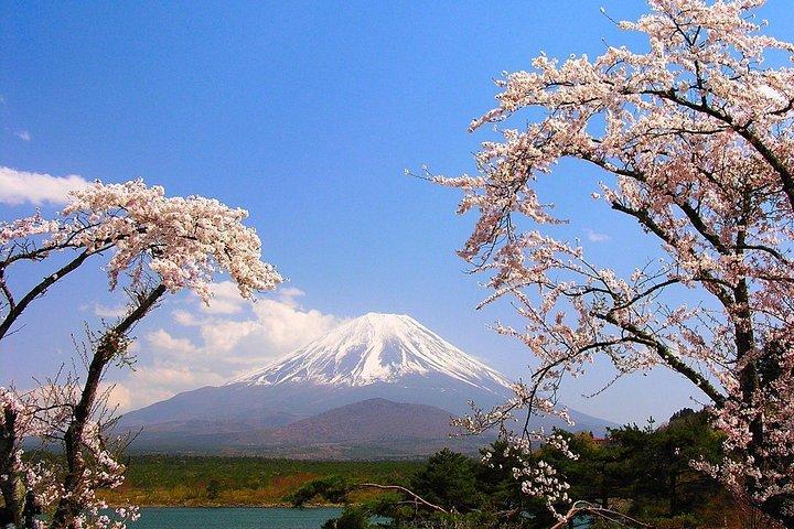日本人ネイティブドライバーによる富士山プライベートツアー