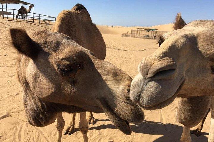 Private : Hatta Mountain Full Day Tour