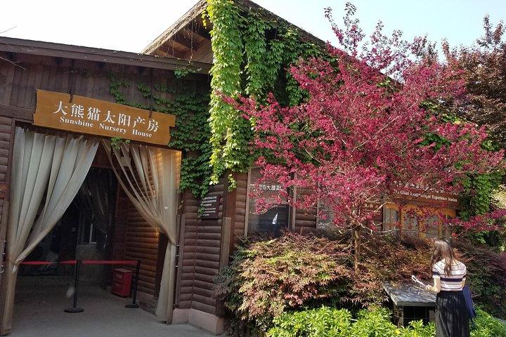 Dujiangyanの1日パンダキーパーボランティア