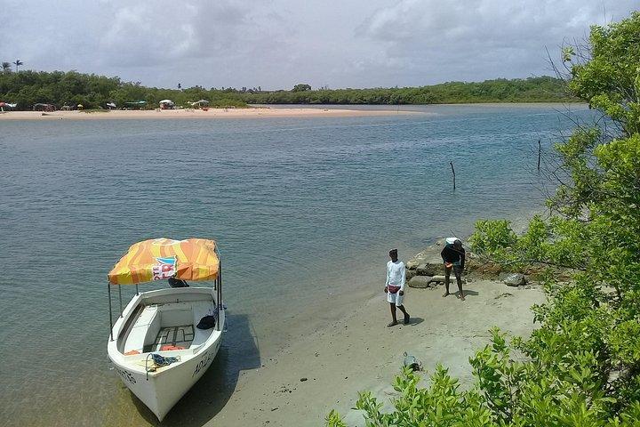 Fort Beach Tour og Tamar Project
