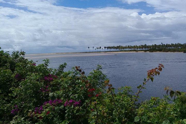 Fort Beach Tour og Tamar Project