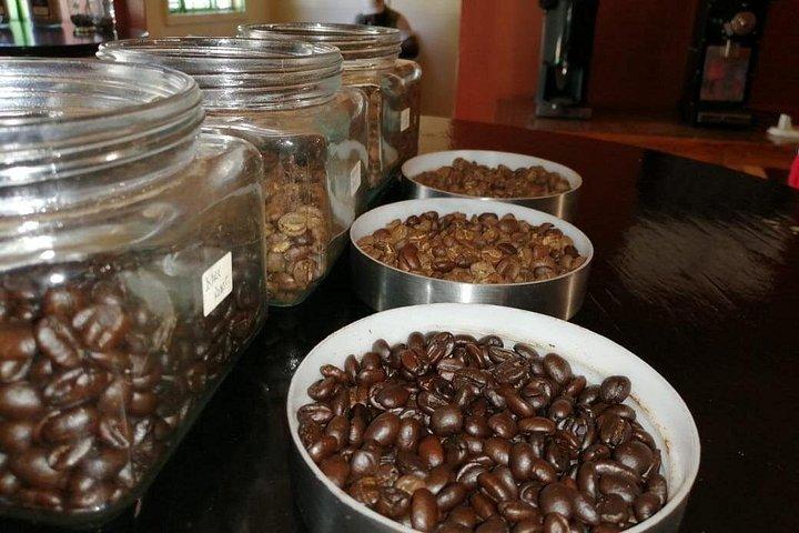 ナイロビコーヒーファームと工場見学