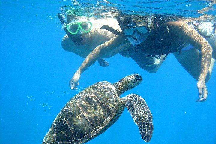 Schnorcheltour In Port Ghalib Marina von Marsa Alam