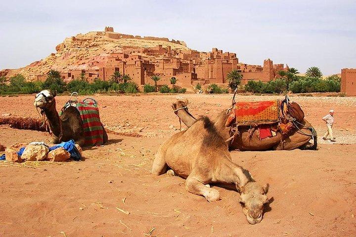 Viaje al desierto en Marruecos tres días merzouga