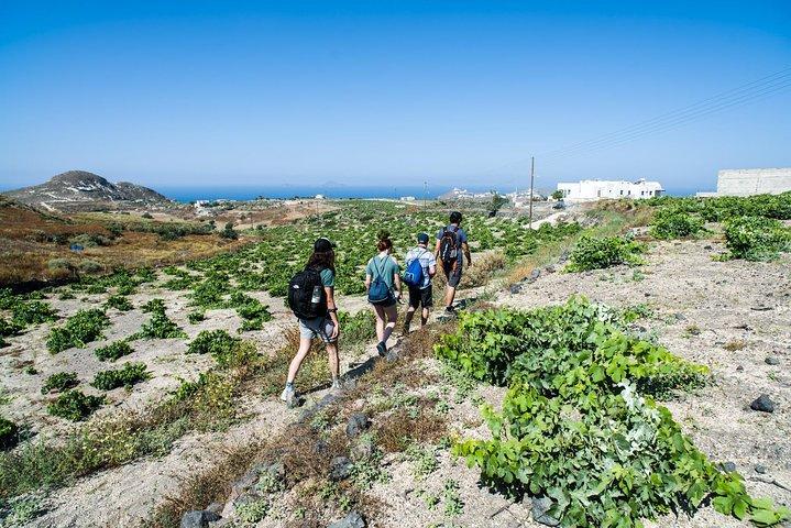 Santorini: aula de culinária e caminhada fácil