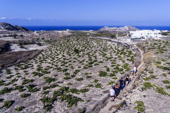 Santorini: aula de culinária e caminhada fácil