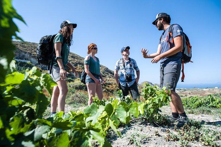 Santorini: aula de culinária e caminhada fácil