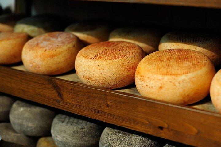Tour Pecorino de Pienza