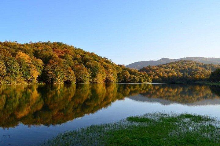 終日キューバとキナリグツアー（小グループ）