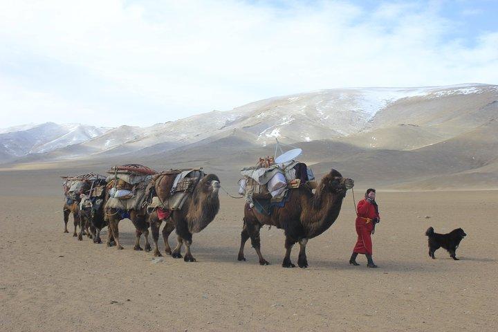Tour di 11 giorni in cammello nel deserto del Gobi meridionale