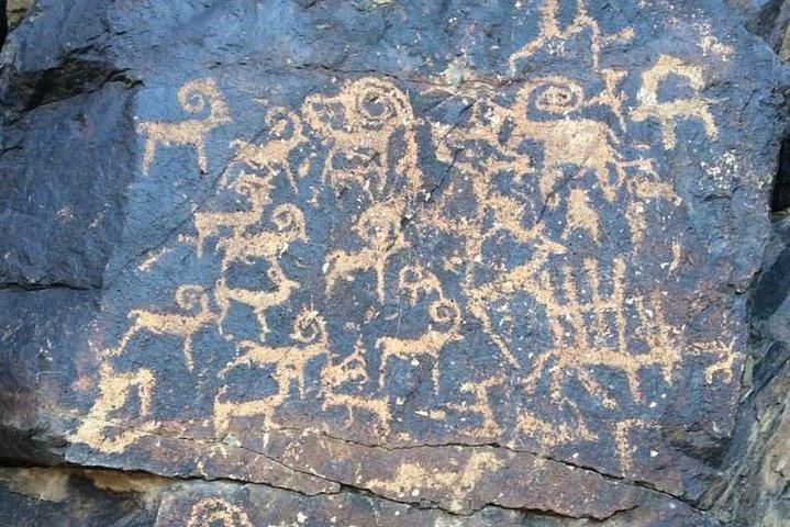 Tour di scoperta del deserto del Gobi e del Parco Nazionale di Terelj di 15 giorni
