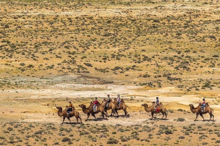 Tour di scoperta del deserto del Gobi e del Parco Nazionale di Terelj di 15 giorni