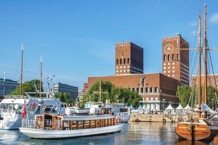 Sightseeing privérondleiding door Oslo en Viking Ship Museum