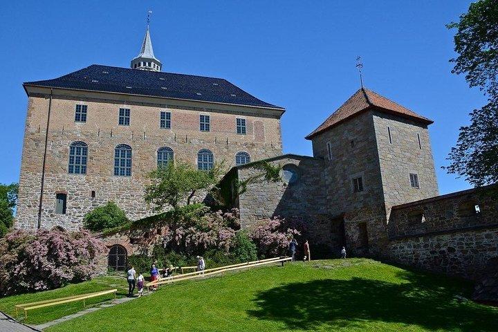 Private Shore Excursion: All-Highlights of Oslo