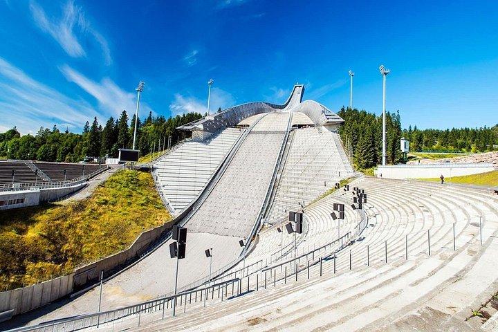 オスロとバイキング船博物館の観光プライベートツアー
