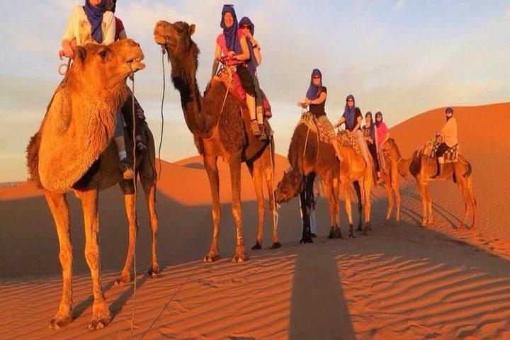 Kameelrit in Marrakech