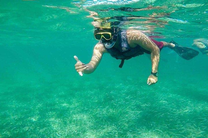 カンクンからの送迎付きコスメルでの水中シュノーケル体験の日