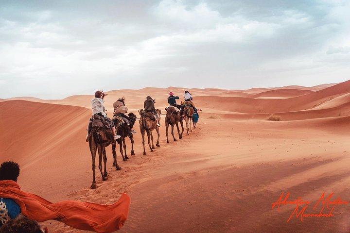 4-dagars ökentur i Marrakech och Marocko