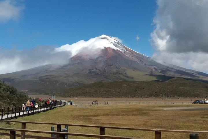 Excursión al Parque Nacional Cotopaxi y Laguna de Limpiopungo