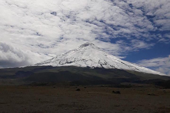 Excursie naar het Cotopaxi National Park en de Limpiopungo-lagune