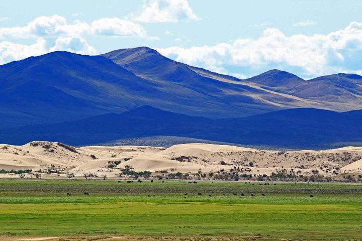 Treasures of Mongolia