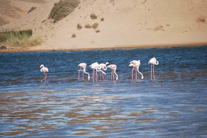 Parco Nazionale Souss Massa Gita da Agadir