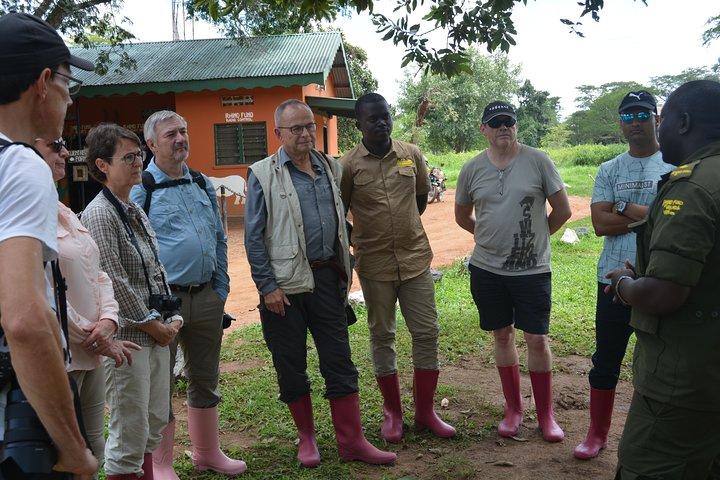 Férias de 3 dias em Murchison Falls, incluindo grandes avistamentos!