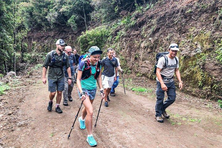 Walk with a local