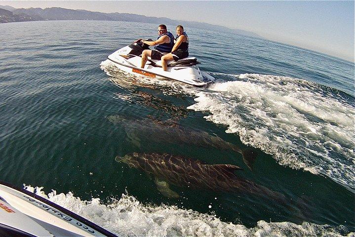 Jet Ski Safari a Puerto Vallarta