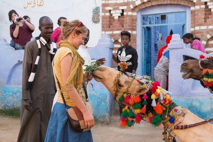 Erleben Sie die Freude während der Nubian Village Tour plus Felucca-Fahrt