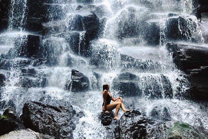 Ubud Shared Tour: Ubud Waterfalls, Tegalalang & Holy Water Temple