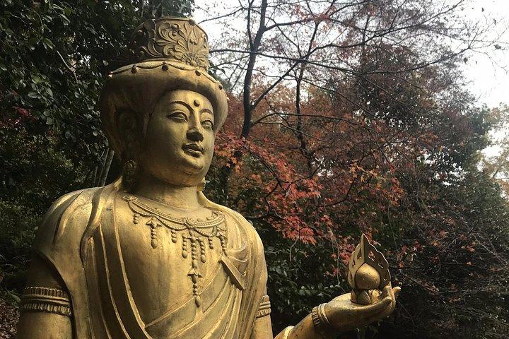 Kyoto: Arashiyama descendant (privé)