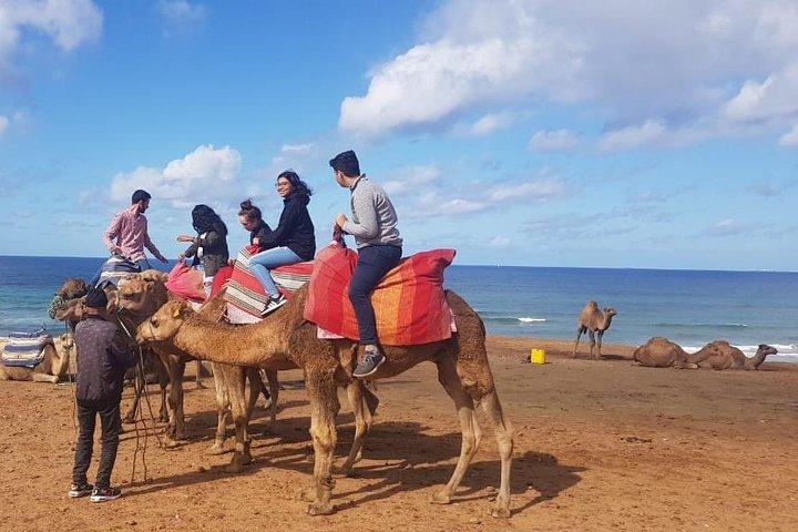 Tânger: Visita guiada pela cidade em torno dos principais pontos de interesse