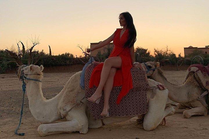 Pack Camel ride 1 Hour and Quad bike 2 Hours a Marrakech