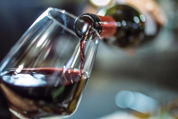 Wine on water in Florence: a private boat tour with aperitif