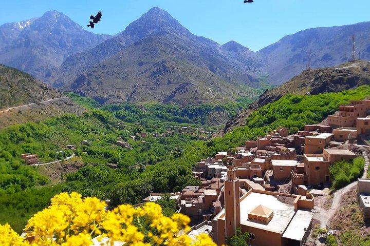 Atlante e tre valli e cascate con gita di un giorno in cammello