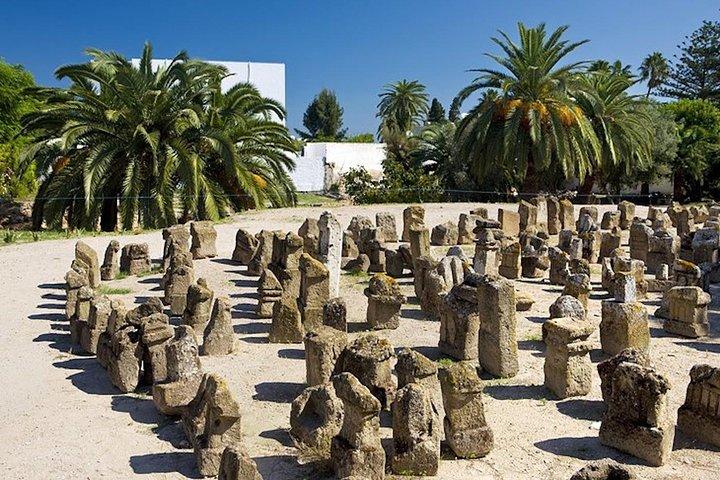Carthage Discovery Half-Day Tour with Licensed Guide