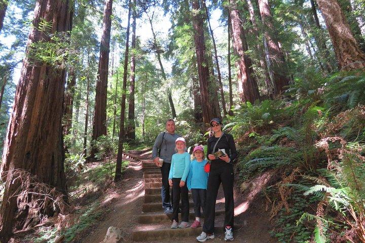 El mejor tour privado combinado de San Francisco, Muir Woods y Sausalito