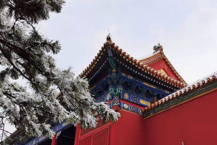Beijing Layover Tour: Forbidden City, Temple of Heaven och Summer Palace