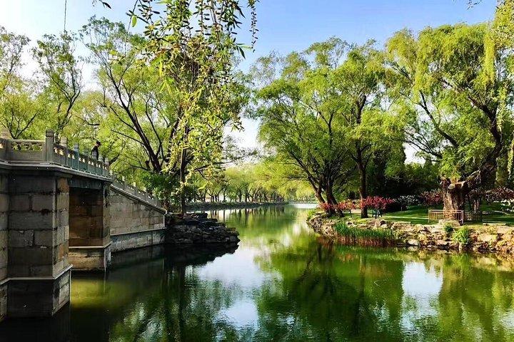 Beijing Layover Tour: Forbidden City, Temple of Heaven och Summer Palace