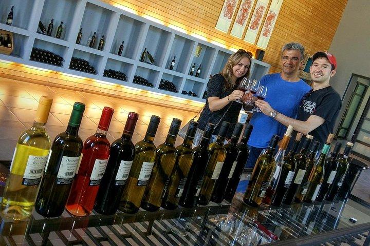 Wine Trails Tour/Nemea besök 3 vingårdar från Aten, Nafplion 9 h