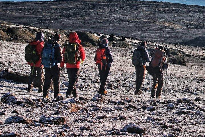 8 dage Kilimanjaro Lemosho rute detaljer