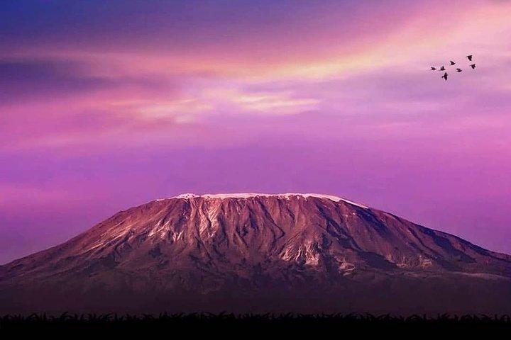 Kilimanjaro Mandara Hut Caminata de un día y masaje a pie después de la caminata
